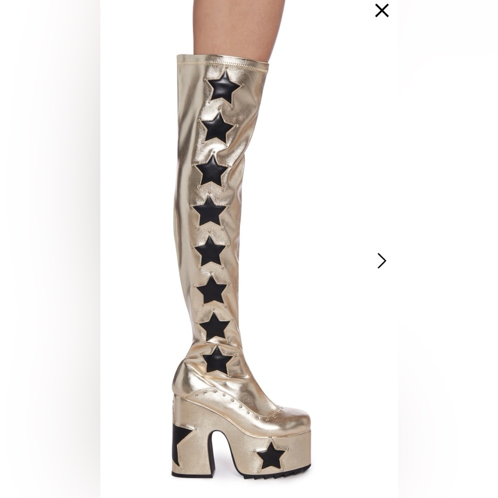 Brand new in the box hold thigh boots